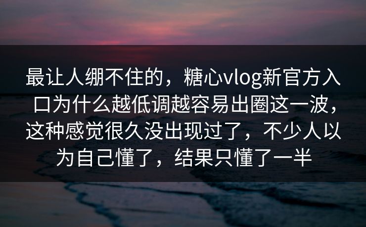 最让人绷不住的，糖心vlog新官方入口为什么越低调越容易出圈这一波，这种感觉很久没出现过了，不少人以为自己懂了，结果只懂了一半