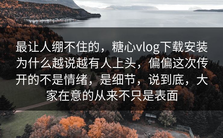 最让人绷不住的，糖心vlog下载安装为什么越说越有人上头，偏偏这次传开的不是情绪，是细节，说到底，大家在意的从来不只是表面