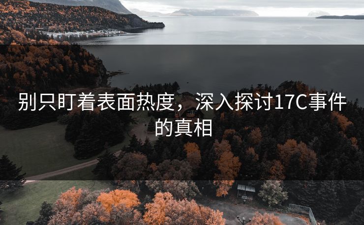 别只盯着表面热度，深入探讨17C事件的真相