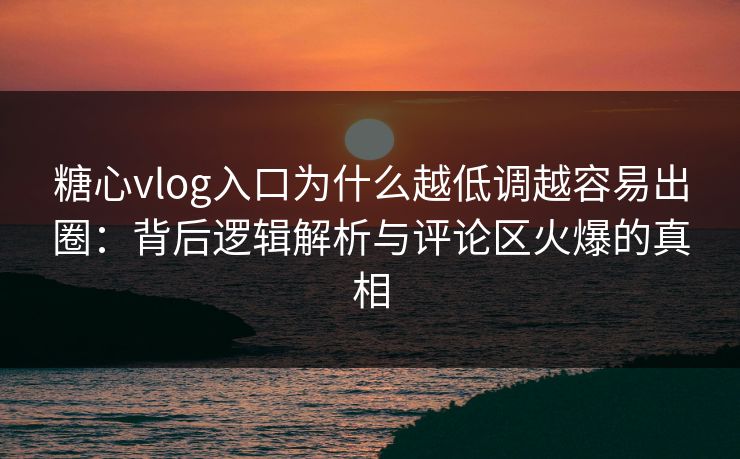 糖心vlog入口为什么越低调越容易出圈：背后逻辑解析与评论区火爆的真相