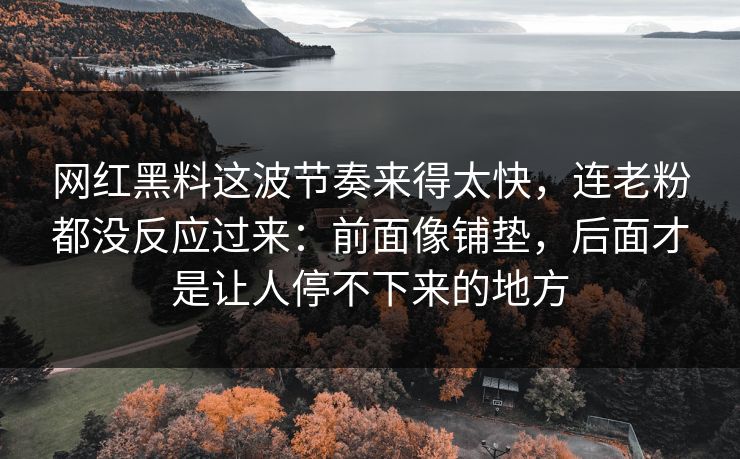网红黑料这波节奏来得太快，连老粉都没反应过来：前面像铺垫，后面才是让人停不下来的地方