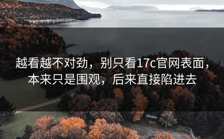 越看越不对劲，别只看17c官网表面，本来只是围观，后来直接陷进去