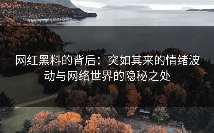 网红黑料的背后：突如其来的情绪波动与网络世界的隐秘之处