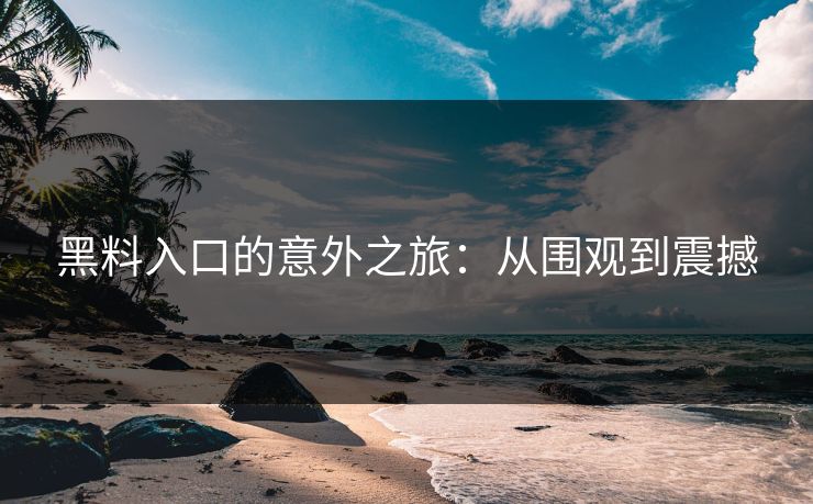 黑料入口的意外之旅：从围观到震撼