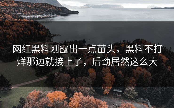 网红黑料刚露出一点苗头，黑料不打烊那边就接上了，后劲居然这么大