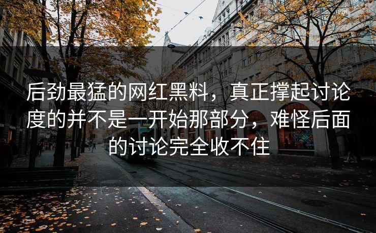后劲最猛的网红黑料，真正撑起讨论度的并不是一开始那部分，难怪后面的讨论完全收不住
