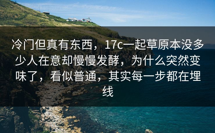 冷门但真有东西，17c一起草原本没多少人在意却慢慢发酵，为什么突然变味了，看似普通，其实每一步都在埋线