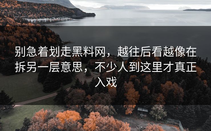 别急着划走黑料网，越往后看越像在拆另一层意思，不少人到这里才真正入戏