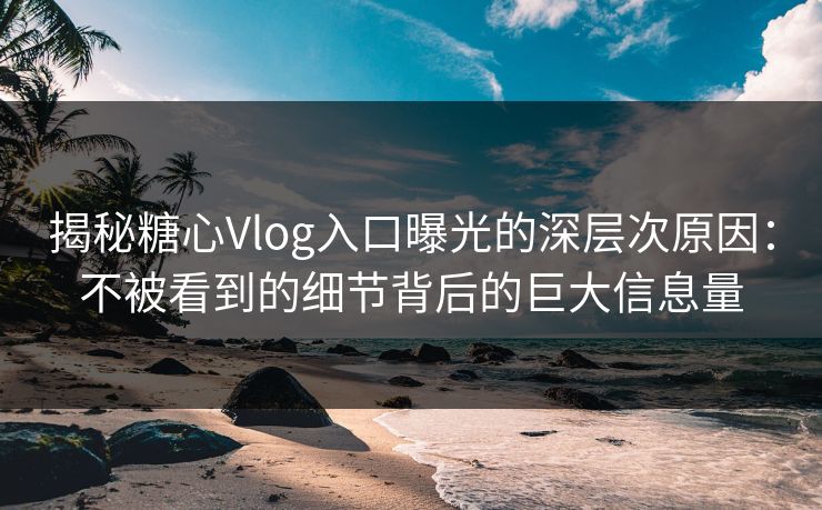 揭秘糖心Vlog入口曝光的深层次原因：不被看到的细节背后的巨大信息量