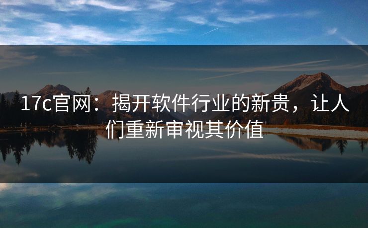 17c官网：揭开软件行业的新贵，让人们重新审视其价值