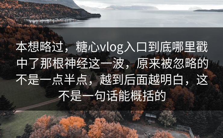 本想略过，糖心vlog入口到底哪里戳中了那根神经这一波，原来被忽略的不是一点半点，越到后面越明白，这不是一句话能概括的