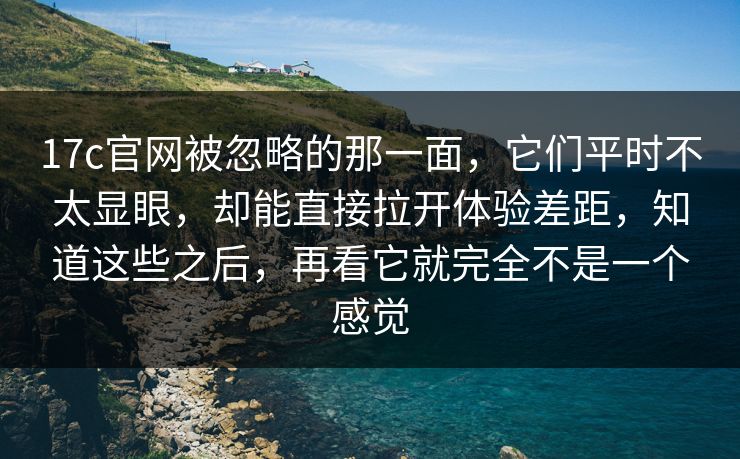 17c官网被忽略的那一面，它们平时不太显眼，却能直接拉开体验差距，知道这些之后，再看它就完全不是一个感觉