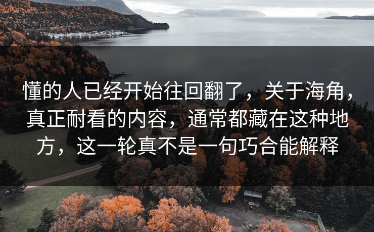 懂的人已经开始往回翻了，关于海角，真正耐看的内容，通常都藏在这种地方，这一轮真不是一句巧合能解释