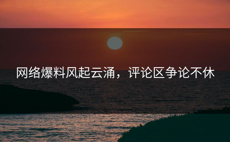 网络爆料风起云涌，评论区争论不休