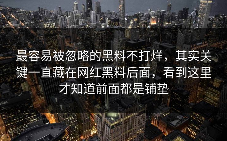 最容易被忽略的黑料不打烊，其实关键一直藏在网红黑料后面，看到这里才知道前面都是铺垫