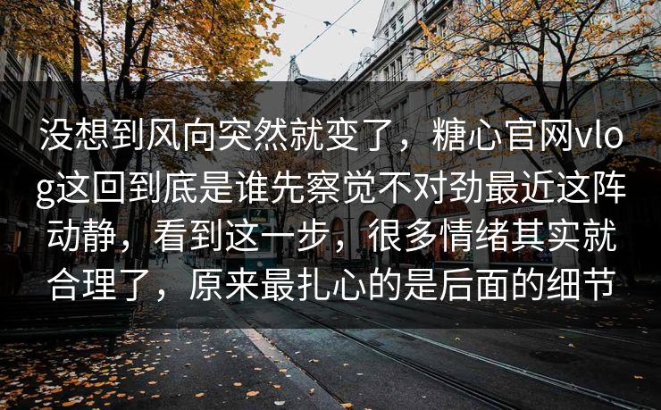 没想到风向突然就变了，糖心官网vlog这回到底是谁先察觉不对劲最近这阵动静，看到这一步，很多情绪其实就合理了，原来最扎心的是后面的细节