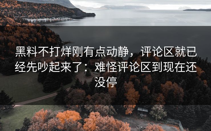 黑料不打烊刚有点动静，评论区就已经先吵起来了：难怪评论区到现在还没停