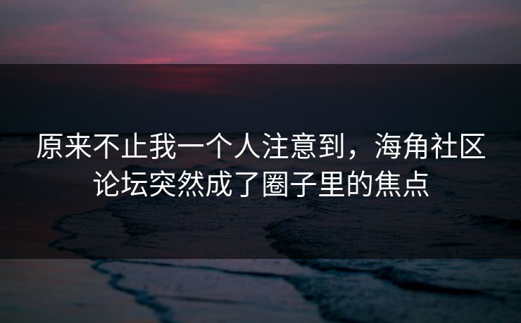 原来不止我一个人注意到，海角社区论坛突然成了圈子里的焦点